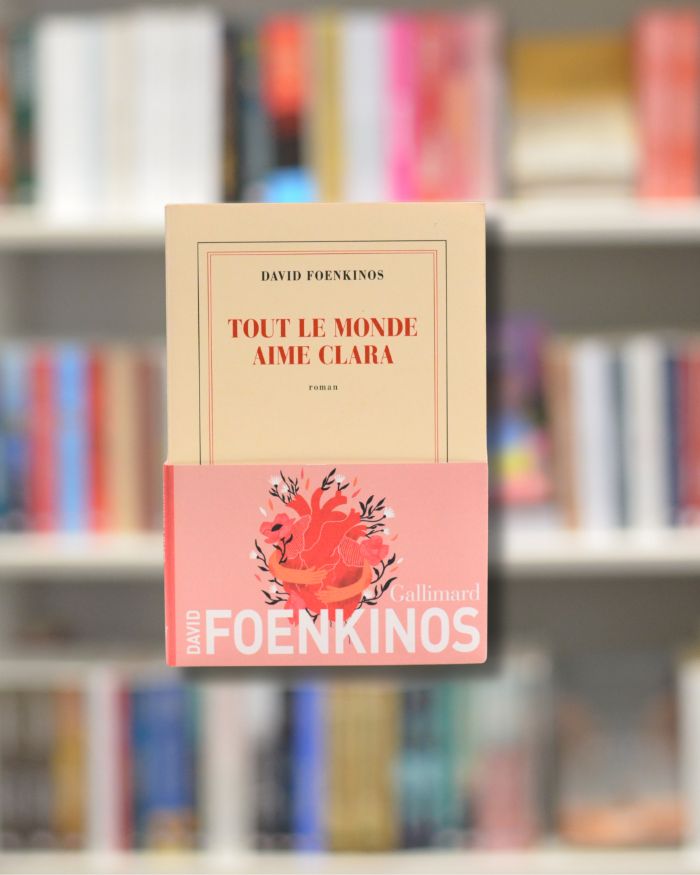 Bücher auf Französisch - Livres en français