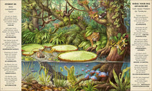 Lade das Bild in den Galerie-Viewer, Perfekt versteckt - Wie Tiere sich tarnen