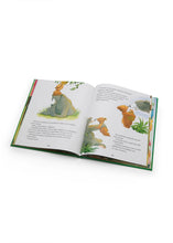 Lade das Bild in den Galerie-Viewer, ΠΑΡΑΜΥΘΙΑ ΑΠΟ 5 ΕΤΩΝ / Paramythia apo 5 eton