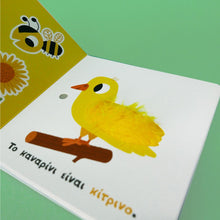 Lade das Bild in den Galerie-Viewer, ΤΑ ΧΡΩΜΑΤΑ ΜΟΥ / Ta xromata moy