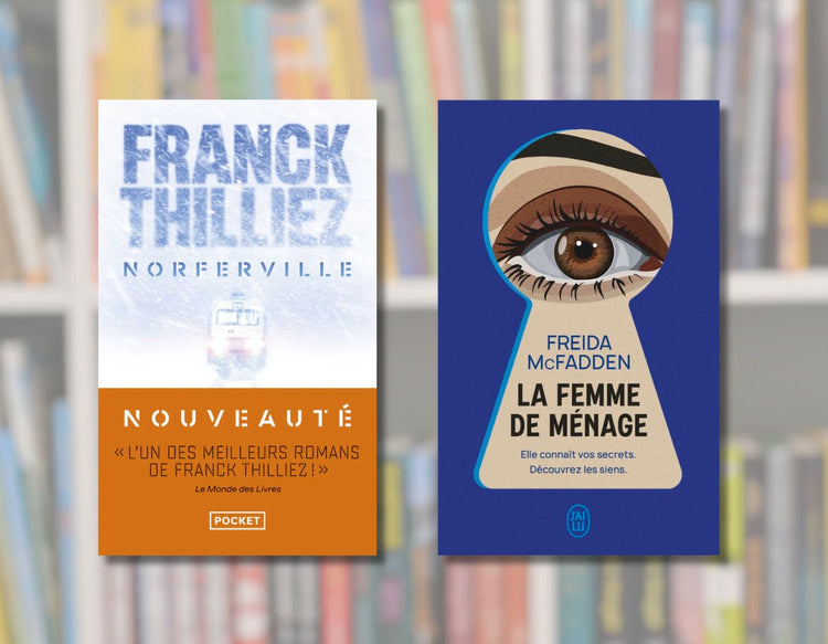franzoesische thriller krimis