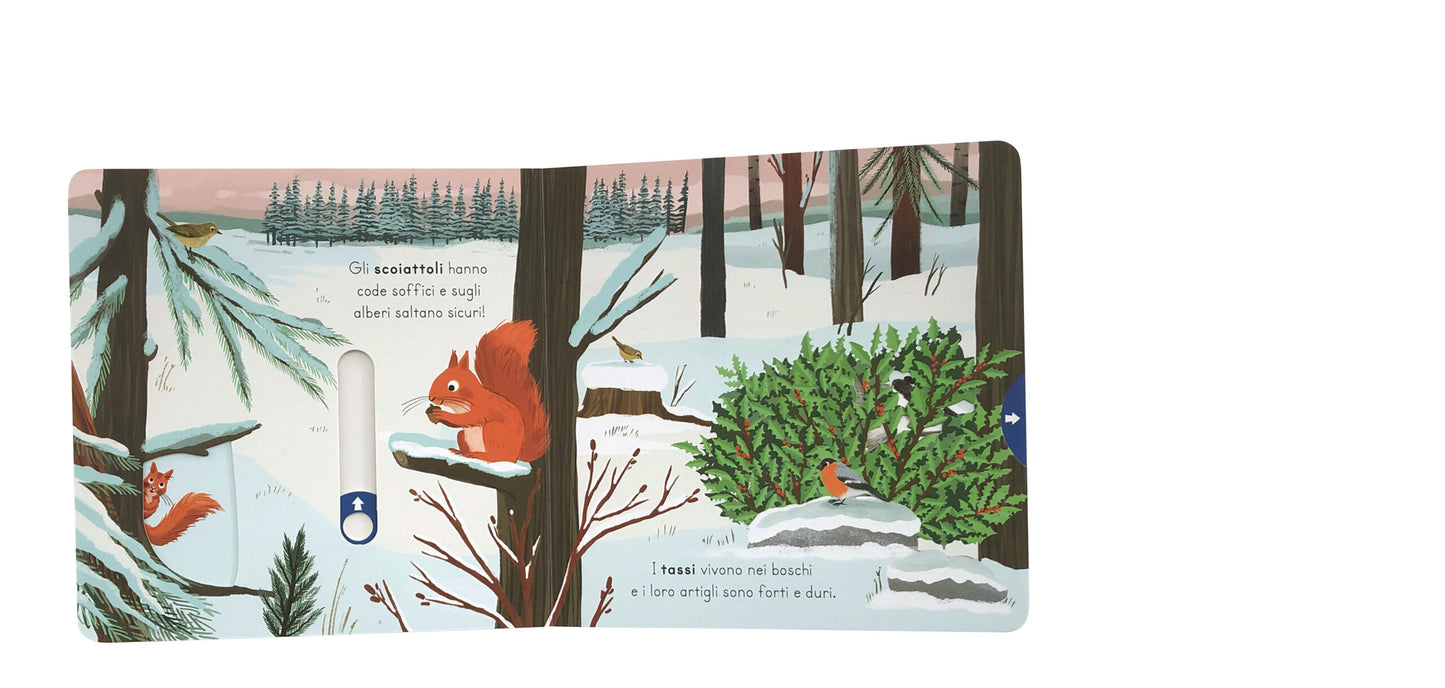 Esploriamo la natura – Neve