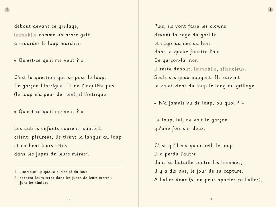 L'oeil du loup - dyscool