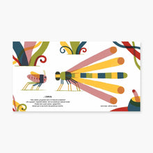 Lade das Bild in den Galerie-Viewer, La fiesta de Grillo
