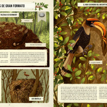 Lade das Bild in den Galerie-Viewer, Construcciones animales
