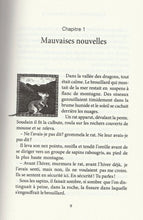 Lade das Bild in den Galerie-Viewer, Beispielseite-Cavalier du dragon
